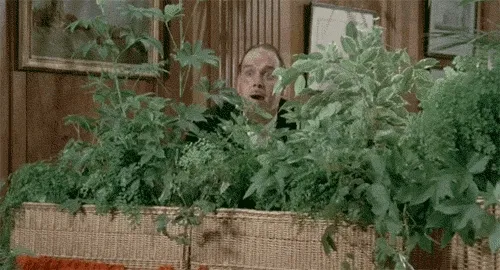 John Cleese hiding