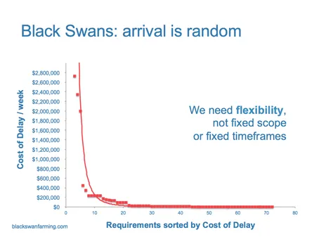 The random arrival of Black Swans