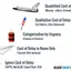 Comparing Cost of Delay approaches