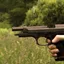 How to Find Gun Owners Fast