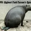 How to Train Your HiPPO (Workshop) – Agile2017