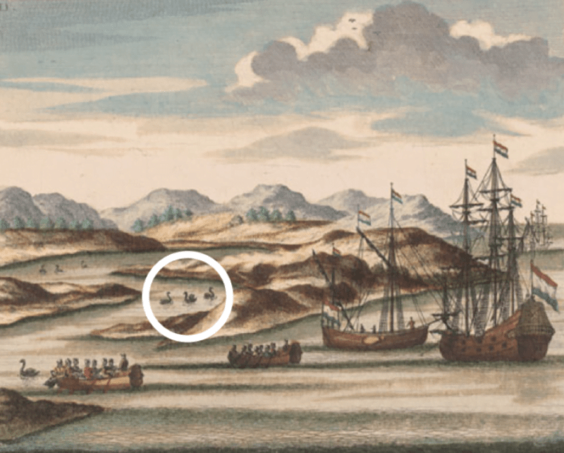 Explorers discovering the first Black Swans, previously considered impossible.