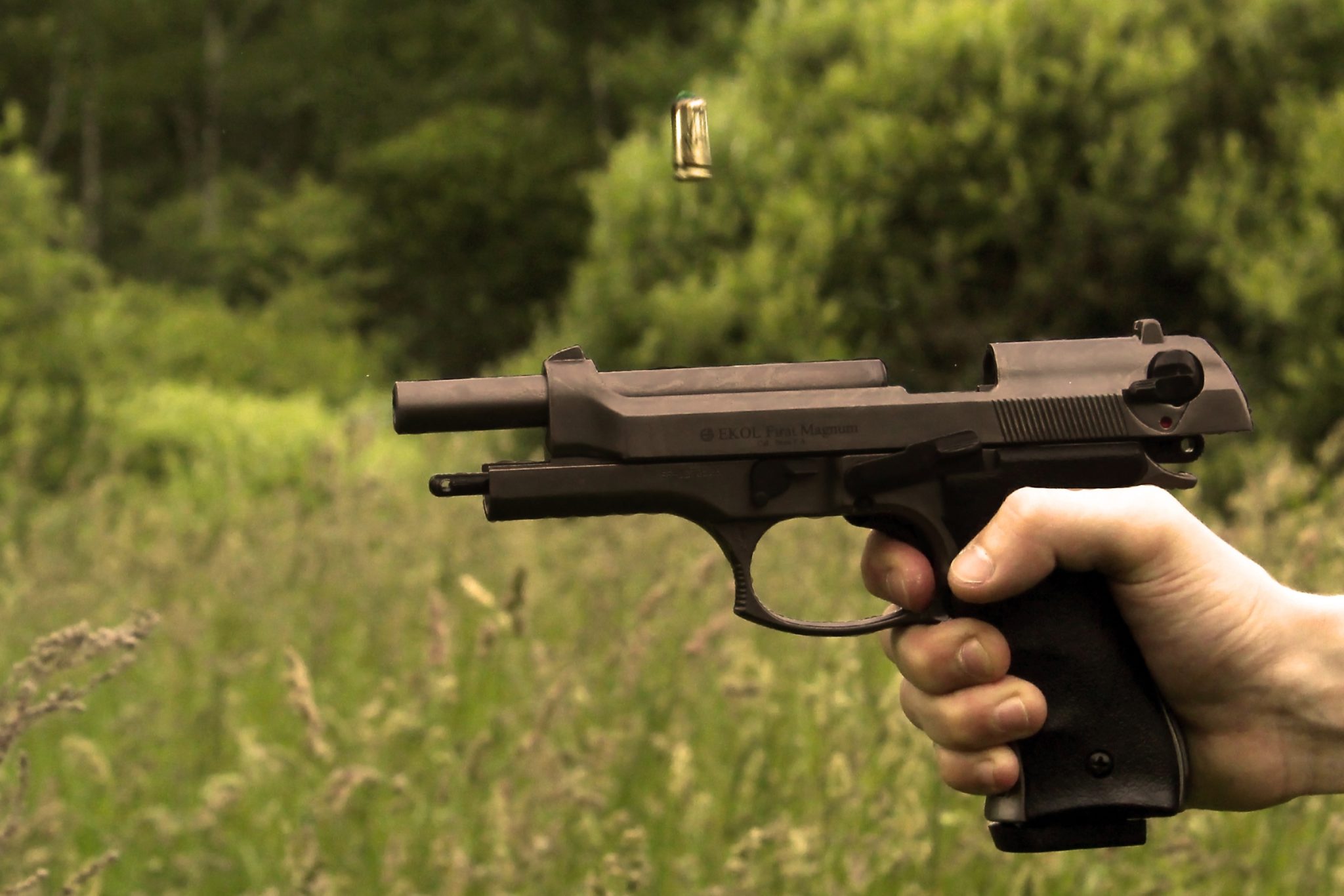 How to Find Gun Owners Fast