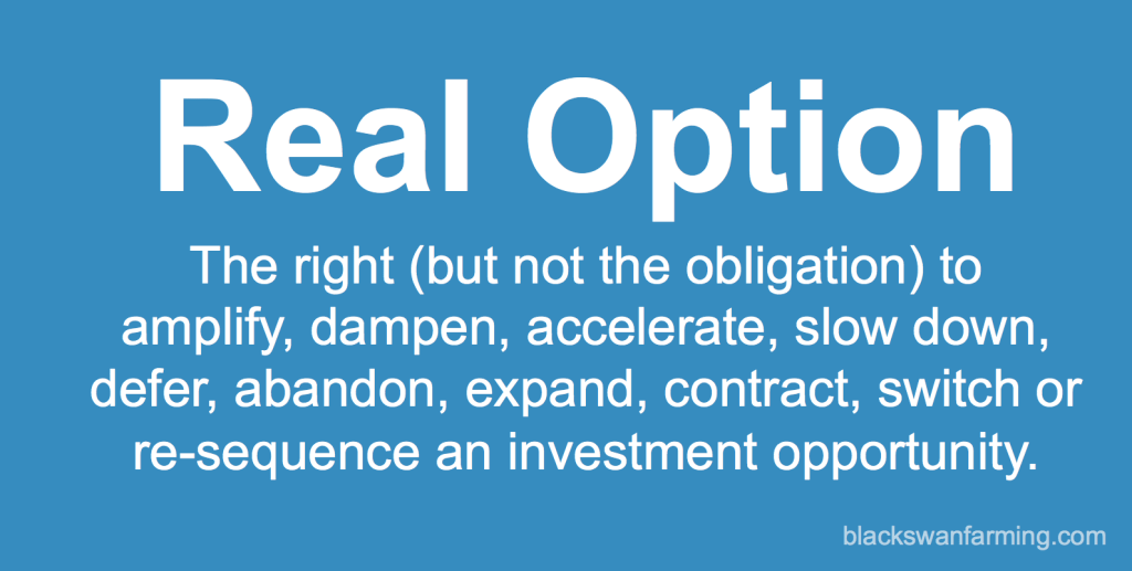 Real Options
